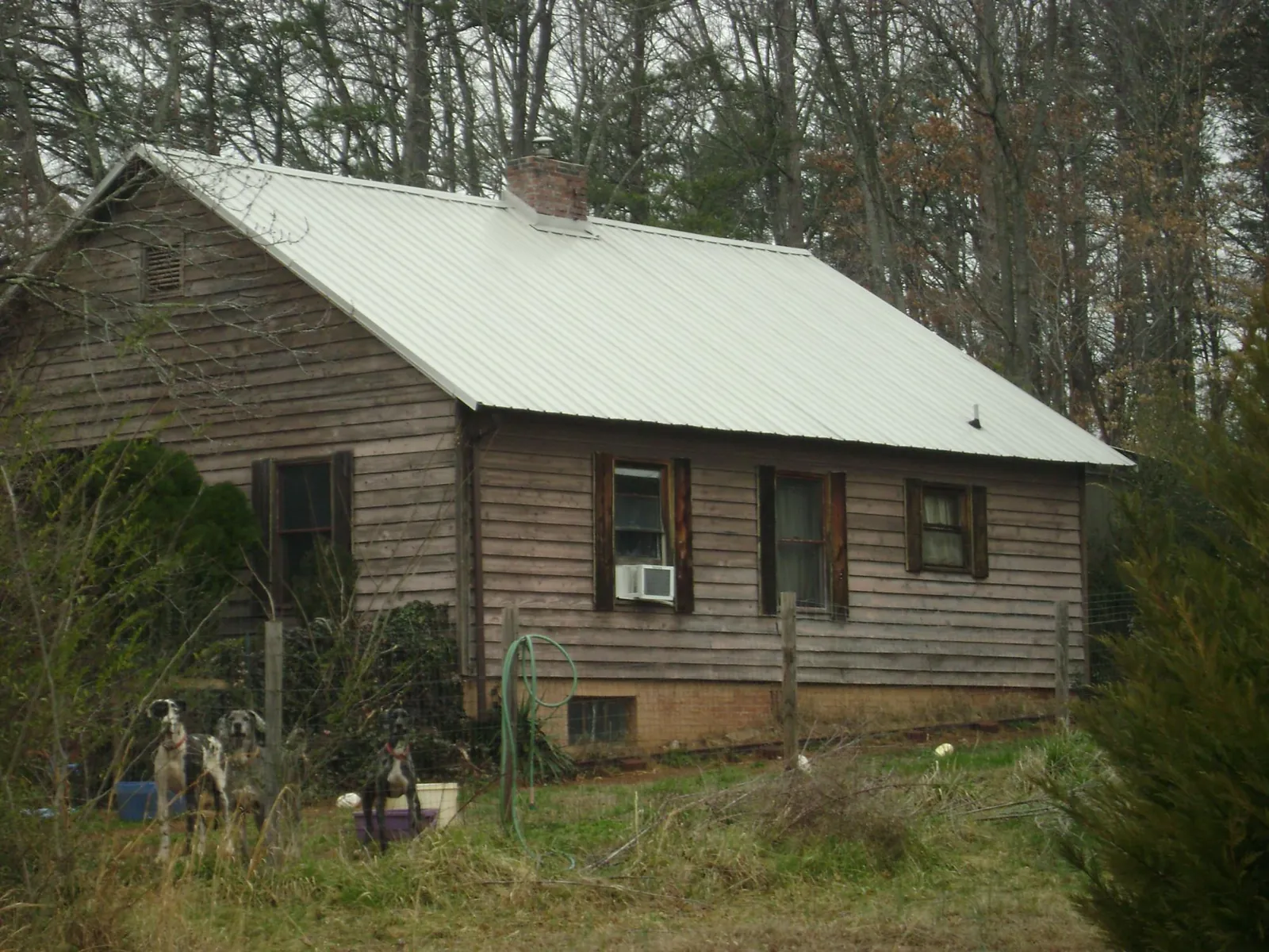 White metal roof on an old wood sided farmhouse, from a Asphalt Shingle Roof Repair job in Hellier